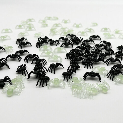 ���� ����� ��������� 