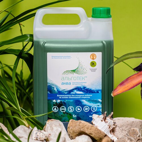 ���� �������� ��� ����� - �������� ���� 5 �