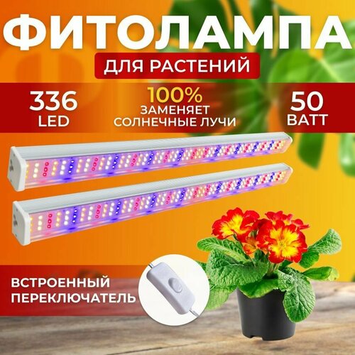         ,     ,     ,  336 LED 50   -     , -  