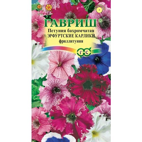 ���� ������ ������� ��������� ������� ���� 7�� ���� �������� (������)