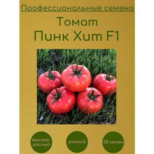      F1 25   -     , -,   