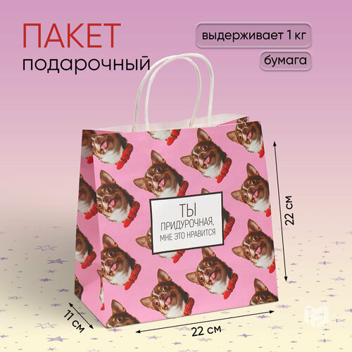 ���� ����� ���������� ��� �����������, ��� ��� ���������, 22 � 22 � 11 ��