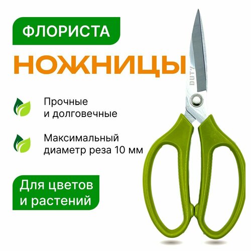 ���� ������� ������� ��� ������ � ��������, ��������������