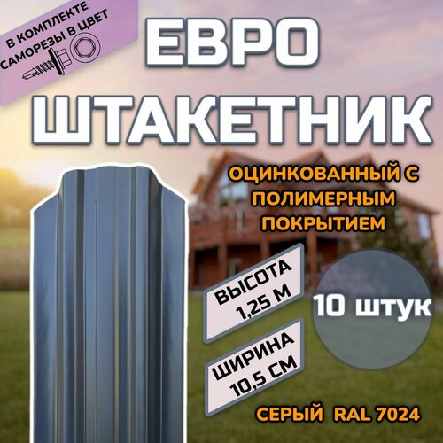 ���� ��������� ������������� �������� (������, ����������) 10 ����.(������ � ���������)������������� �����, ���� RAL 7024 �����, ������ 1.25�, ������ ������ 105��)�����