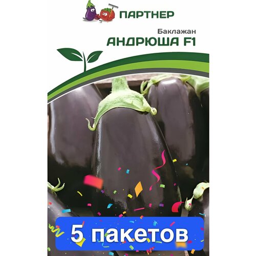 ���� ������ ������ ��������� ������� 