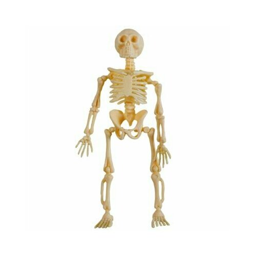 ���� ������ ������� 13�� 3��/G