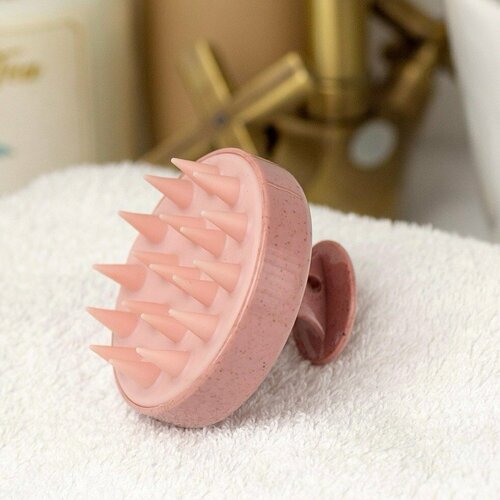 ���� ��������� ����� ��� ����� ����� � ���� ������ ����������� ���������-�������