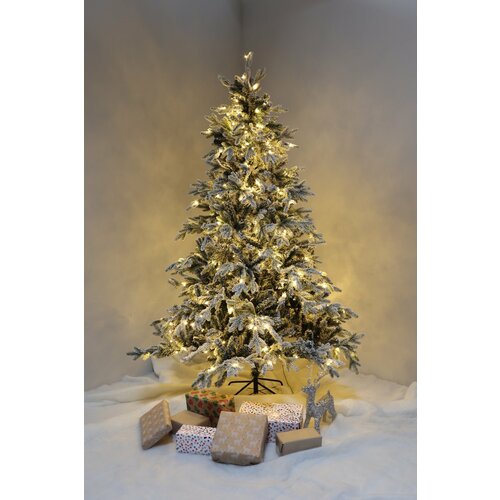 ���� ���� ������������� �� ������ � ���������