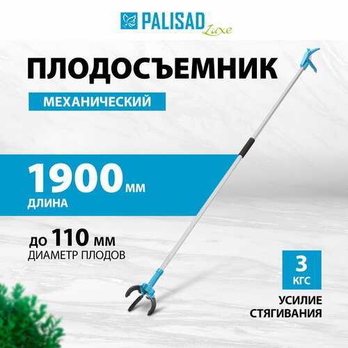     Palisad 1900 ,  , LUXE 64397  -     , -  