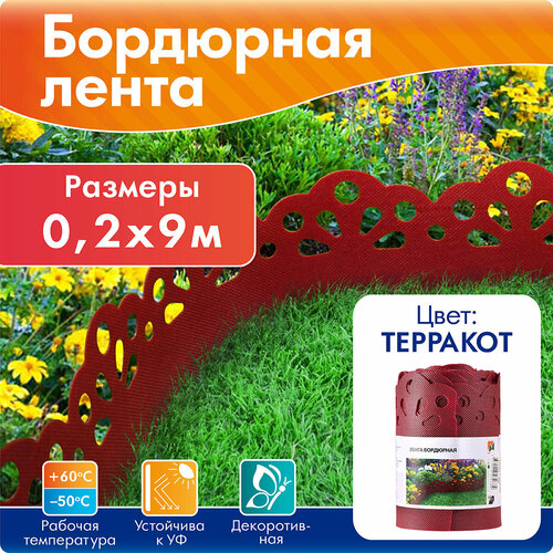 ���� ����� ��������� ������� 20 �� * 9 �, ������������