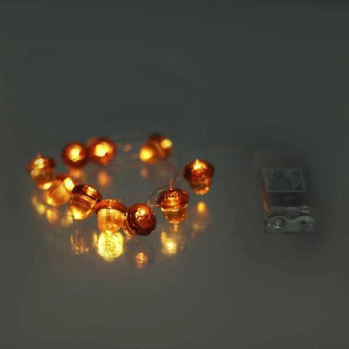 ���� �������� 