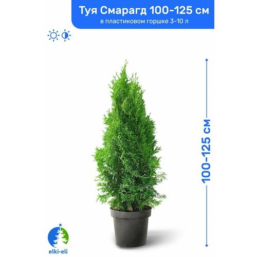 ���� ��� �������� ������� 100-125 �� � ����������� ������ 3-10 �, �������, ������� ����� ��������