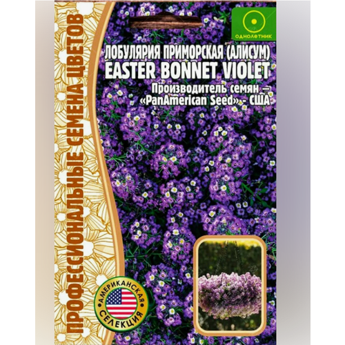   () Easter Bonnet Violet 20 .   (2  )