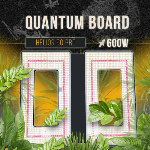   Quantum Board 600 ,   led 281b  -     , -,   