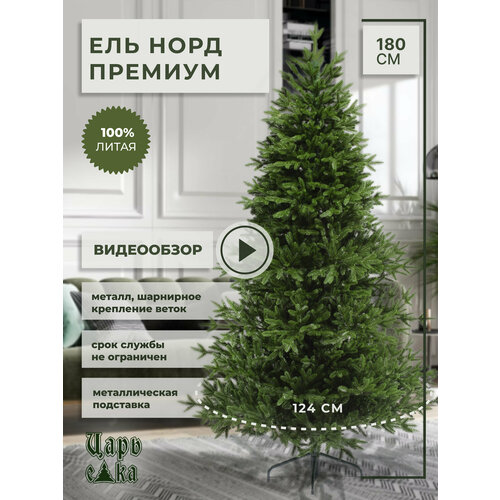 ���� ������������� ���������� ���� ���� ���� ���� �������, �����, 180 ��