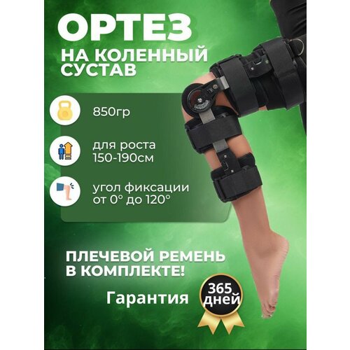 ���� ����� �� �������� ������ � ��������� / ����������� ������, Ortez1