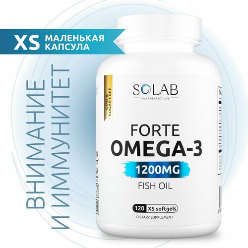 ���� �����-3 � ���� �������� 60%, XS 1200 ��, ��� ������, ����� � ����������, 120 ��