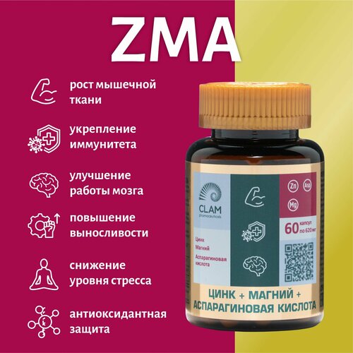     ZMA   ,  +  +  ,  , 60   -     , -  