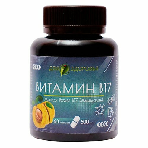 ���� ������� �17 ��������� 60 ��