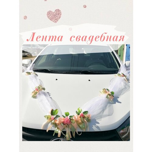 ���� ��������� ����� �� �����. ��������� �� ��������� ����������.