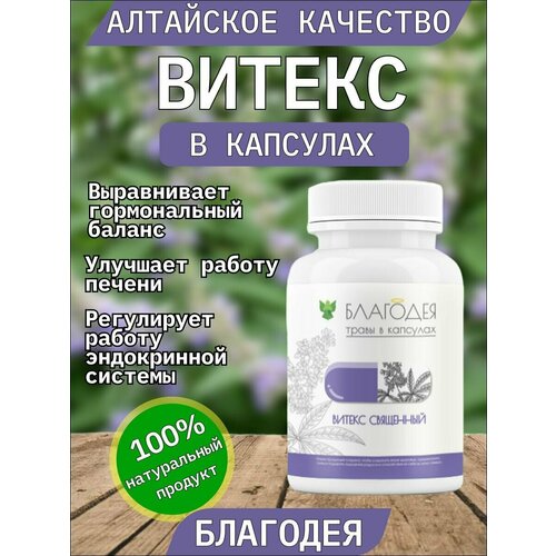 ���� ������ � �������� 