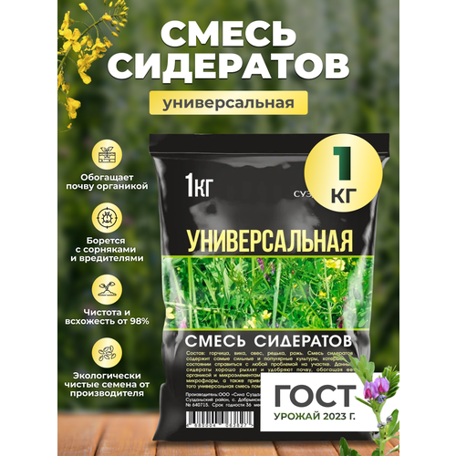 ���� ����� ��������� 