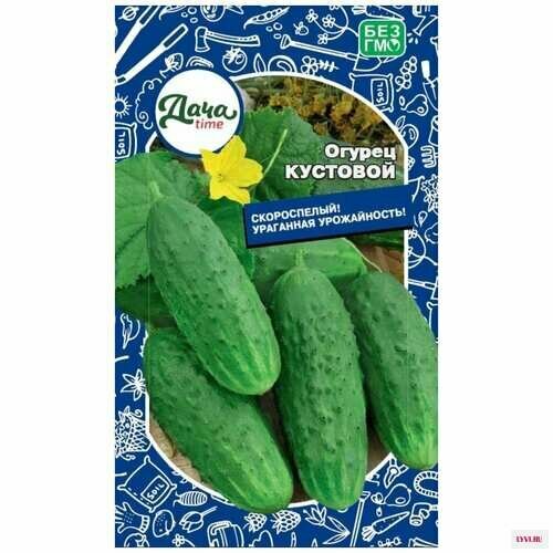 ���� ������ ������ �������� 12�� �� ������ (����time)