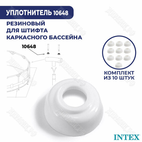      Intex 10648 (- 10 )  -     , -,   