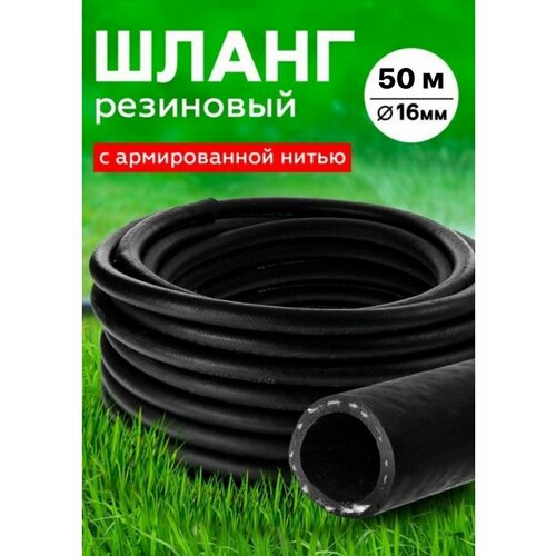 ���� ����� ��������� ������������ 16�� 50 �