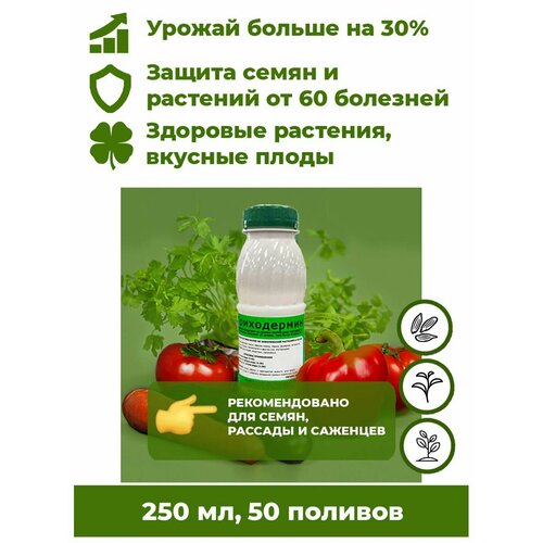 ���� ���������� ���������� - ����������� ������ 250�� ����������� ��������� ��� �������� ������ ����. ����� �������� �� ����� 60 ��������, �������� ����������� �� 30%.