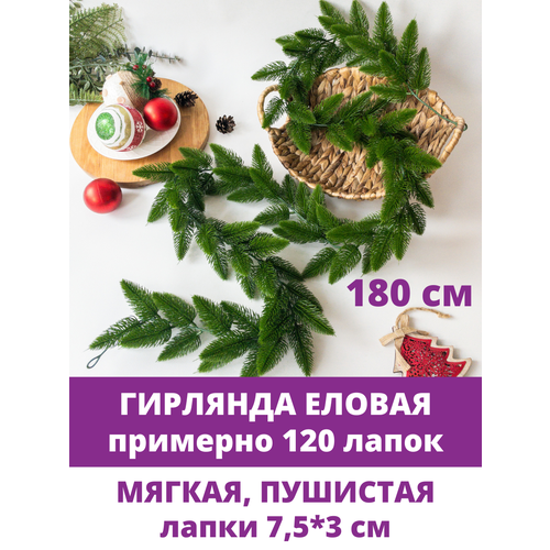 ���� ������ �������� (����� 120 �����), ���������, ���������� ���������, ����� 180 ��.