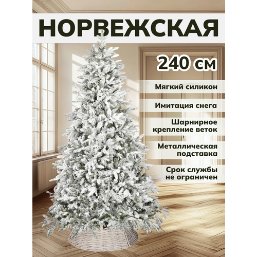 ���� ���� ������������� ����������, ����� + ���, ����������� 240 ��