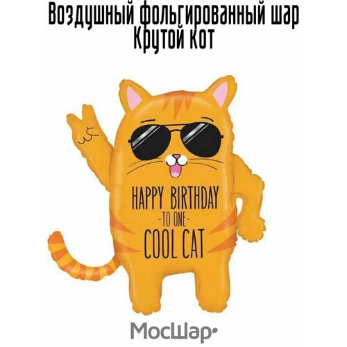 ���� ��������� ��� �������������� ������ ���, 84 ��, ������