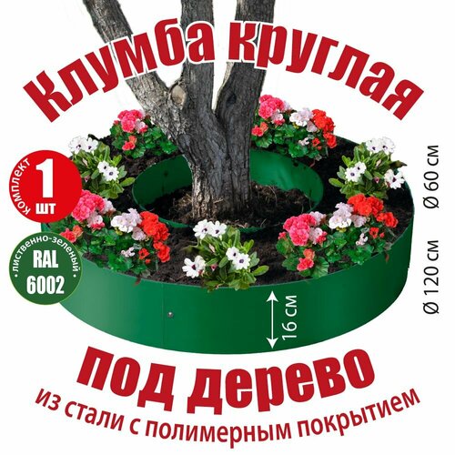 ���� ������ ������� ��� ������ ��� ������ ������������ �������