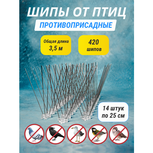���� ���� ���������������� �� ���� 14 ���� �� 25 ��