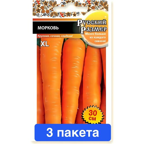 ���� ������ ������ ������� ������ 