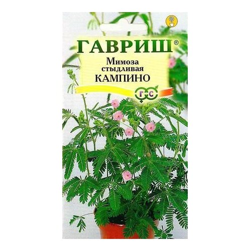 ���� ������ ������ ������ ��������� ������� 0,1 �