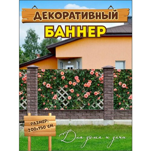 ���� ������������ ������ ��� ������, �������