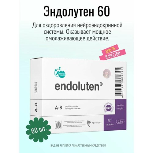 ���� ��������� N60 (���)