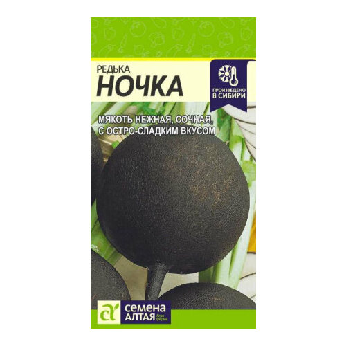 ���� ������ ������ ����� 1� �������� (������ �����)