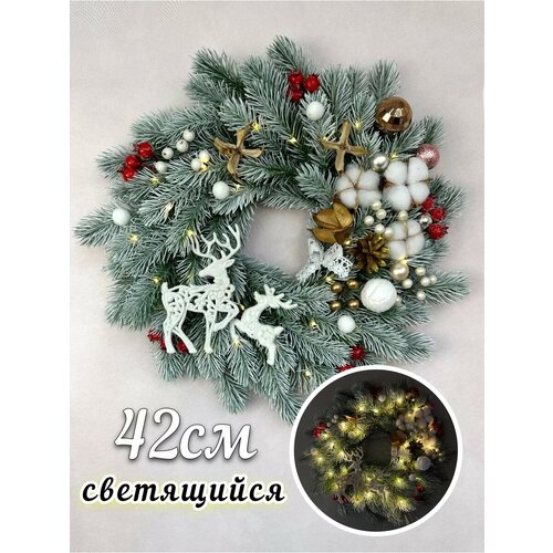 ���� ����� ���������� ����������