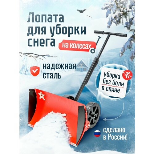 ���� C������������� ������ ������������� �� ������� � �������