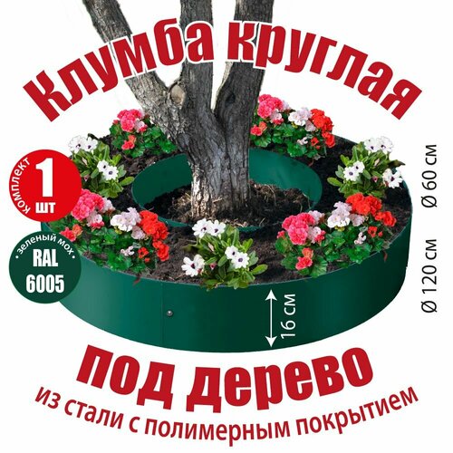 ���� ������ ������� ��� ������ ��� ������ ������������ �������