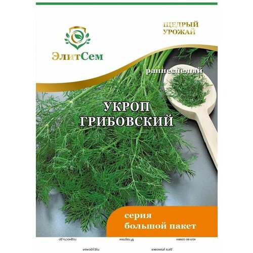 ���� ������ ����� ���������� BIG �������� XXXL 10 � (�������)