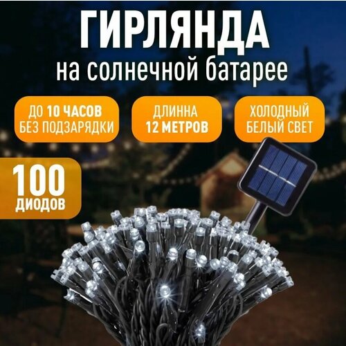        , 100LED  -     , -  