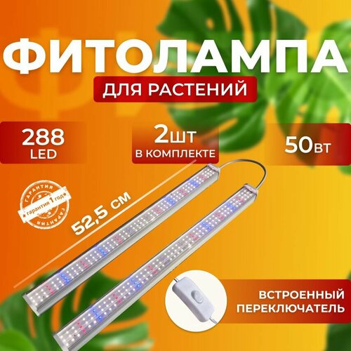         ,     ,    ,  50  288 LED  -     , -  