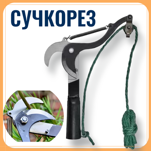 ���� �������� � ��������