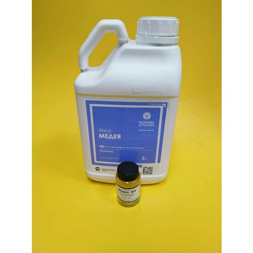 ���� �������� ����� �� ����� �� ������ � ��������� 100 ��