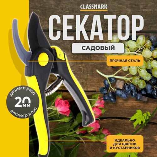 ���� ������� ������� Classmark ������������ � ���������, �������������, �������� ����� ������ � ������������, �������� ������, ������ � ������