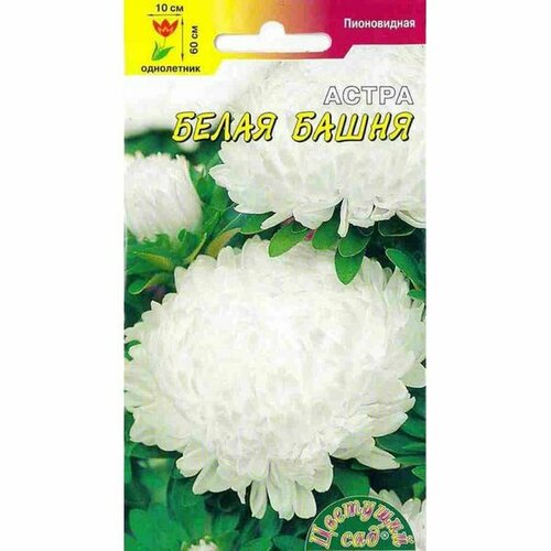 ���� ������ ����� ����� �����, ����������, (�������� ���) 0,2�